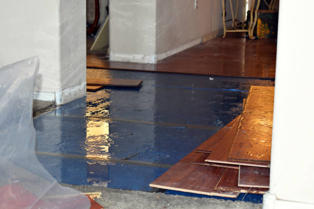 Professional Basement Flood Cleanup technician working in Bayview, ID